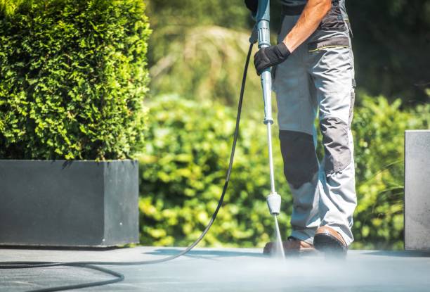 Best Pool Deck Cleaning in Nneconne, WI