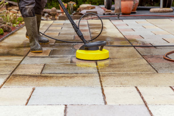 Best Fence Cleaning and Maintenance in Nneconne, WI